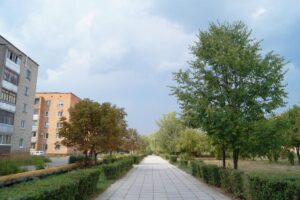 поселок Товарково