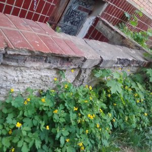 Фото улица Октябрьская, дом 31, поселок Товарково, Коллективное Заявление от собственников квартир в связи с неудовлетворительным содержанием Управляющей компании ООО МПКХ Товарково: улица Октябрьская, дом 31, поселок Товарково, №1