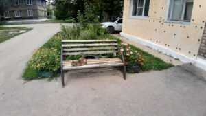 20230725 132945 Товарково