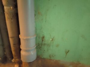 img 20230520 182331 Товарково