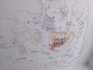 img 20230520 183154 Товарково