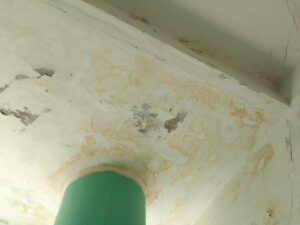 img 20230520 183304 Товарково