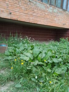 img 20230520 185036 Товарково