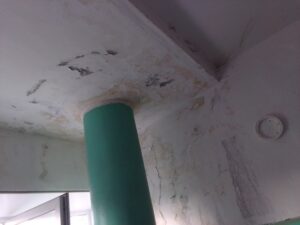 img 20230520 185135 Товарково