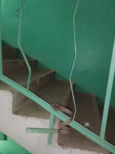 img 20230520 185235 Товарково