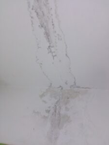 img 20230520 191158 Товарково