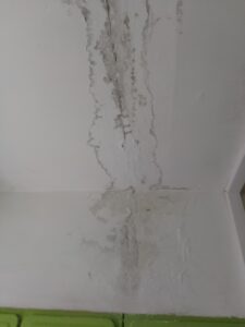 img 20230520 191219 Товарково